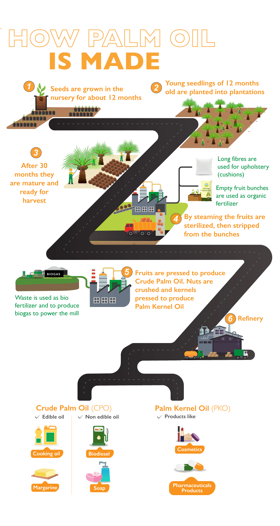 How Palm Oil is made